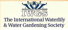 Iwgs