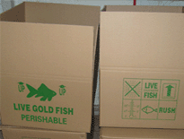 Fish,packing