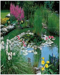 pond constructing