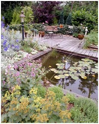 pond constructing